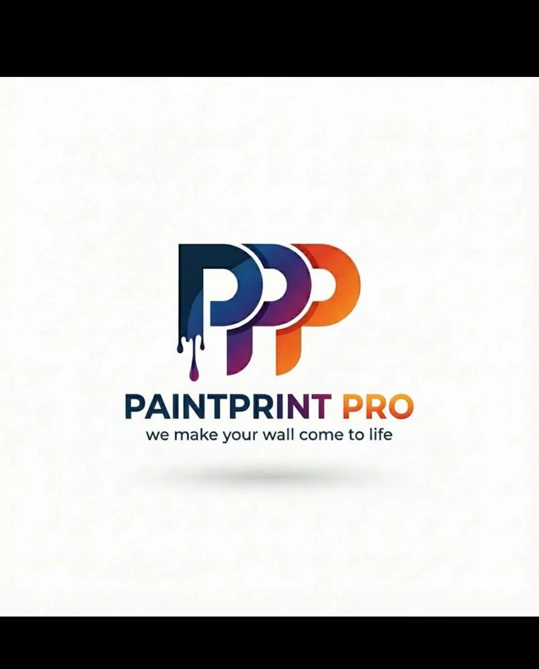 PaintPrint Pro Logo