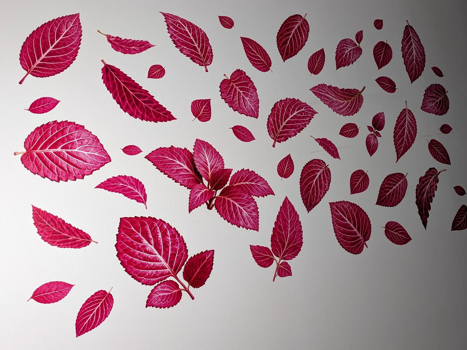 Botanical pink leaf wall mural printed by PaintPrint Pro